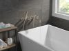 DELTA Broderick Wall Mount Tub Filler Trim with Hand Shower - Less Handles — Lumicoat® Stainless