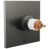 BRIZO Frank Lloyd Wright TempAssure Thermostatic Valve Only Trim - Less Handles — Luxe Steel
