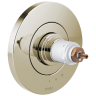 Polished Nickel