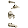 Polished Nickel