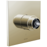 Polished Nickel