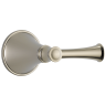 Polished Nickel