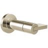 Polished Nickel