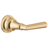 Polished Gold