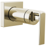 Polished Nickel