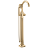 Polished Gold