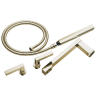 Polished Nickel