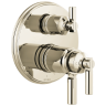 Polished Nickel