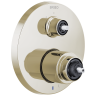 Polished Nickel