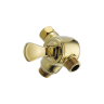 Polished Brass