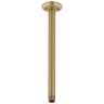 Champagne Bronze