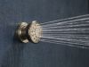 BRIZO Essential Shower Touch-Clean Round Body Spray — Polished Nickel